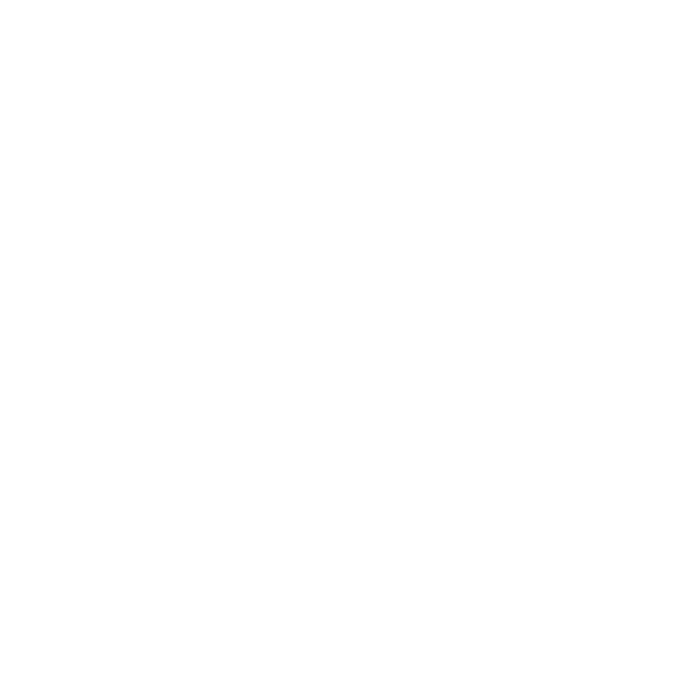 Low-altitude Economy
