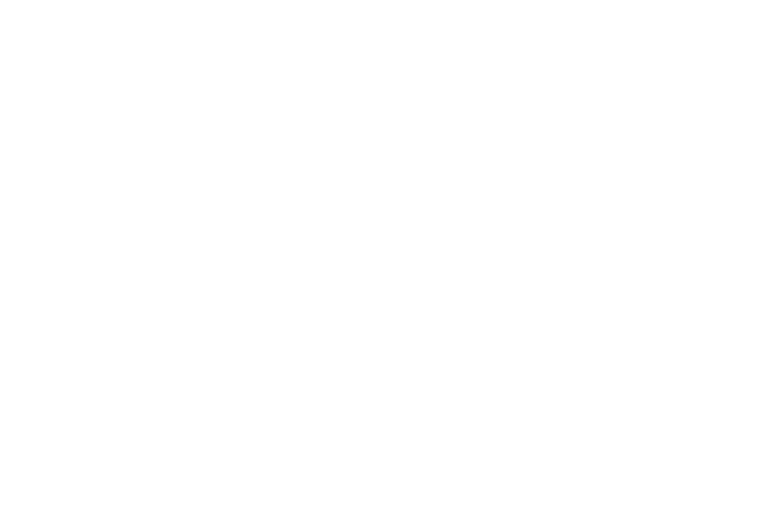 Criminal Risk Prevention & Defense